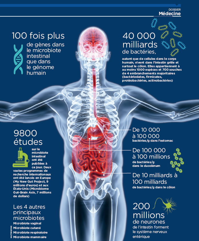 Microbiote et comportement humain  un lien ? – Vers une vie plus