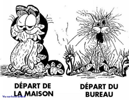 Le stress nous rend-il malade ?
